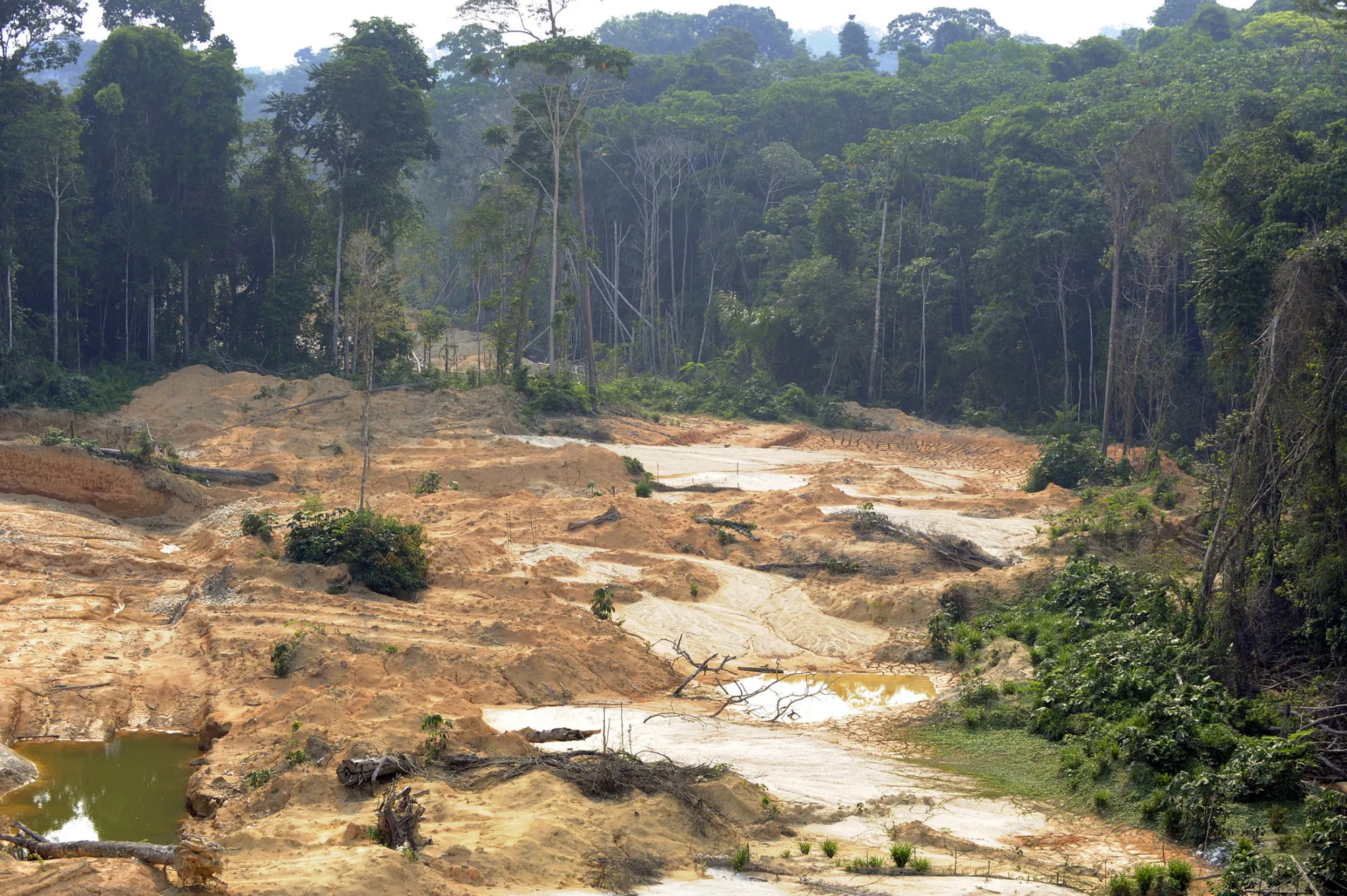 An illegal gold mine in the Jamanxim National Forest in northern Brazil, on Nov. 29, 2009.
