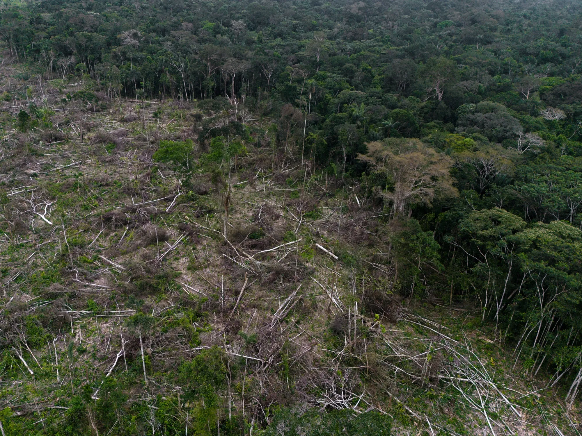 A section of deforestation near La Paz, Guaviare department, Colombia, on July 30, 2023.&nbsp;