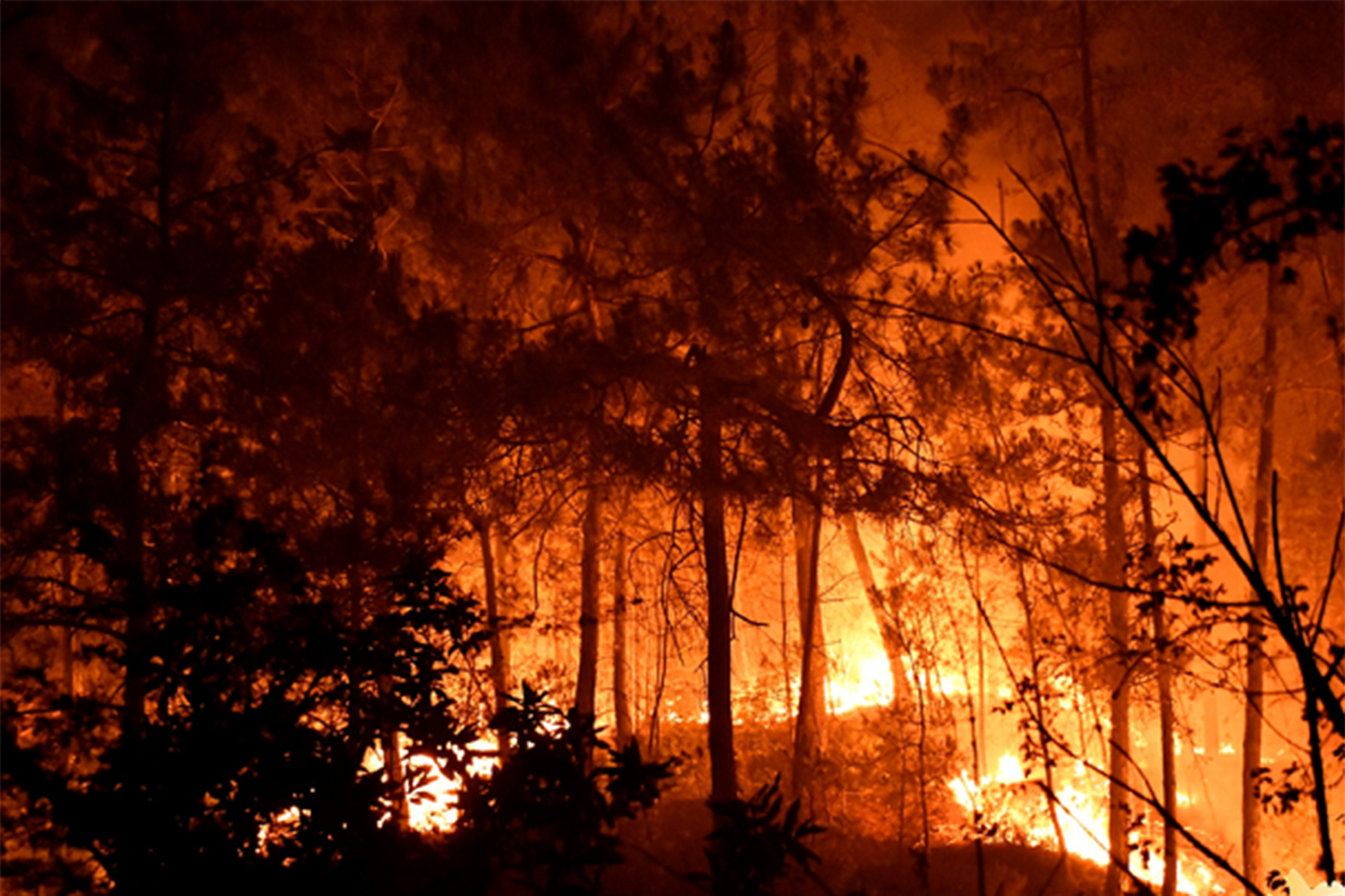 Water And Fire Streaming En Francais Bordezac Fire: 900 Firefighters Battle Massive Blaze in Southeast France -  Bloomberg