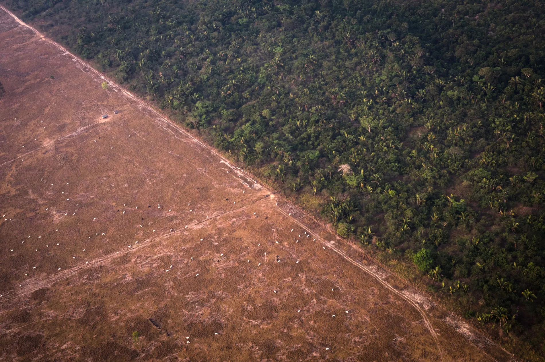 A field scorched by wildfires stands in the Amazon rainforest in this aerial photograph taken near the Candeias do Jamari region of Porto Velho, Rondonia state, Brazil, on Saturday, Aug. 24, 2019.&nbsp;
