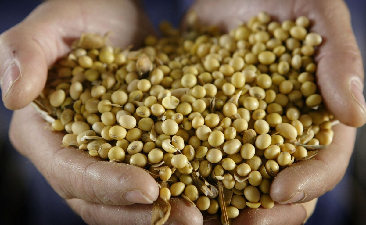 China’s Soybean Imports Seen Dropping for First Time in 15 Years