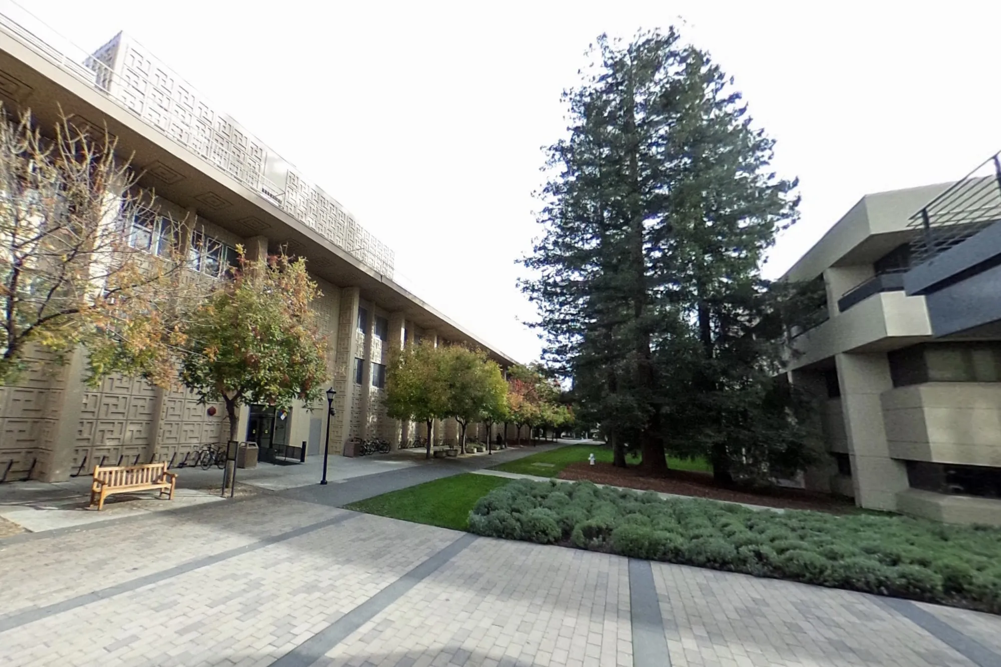The Stanford University School of Medicine