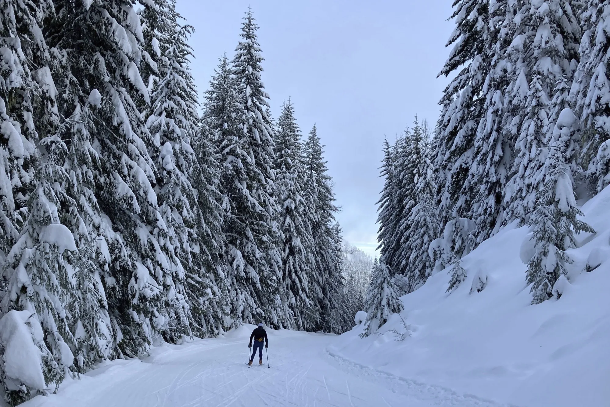 Climate Change Makes the Future of Nordic Skiing Uncertain - Bloomberg