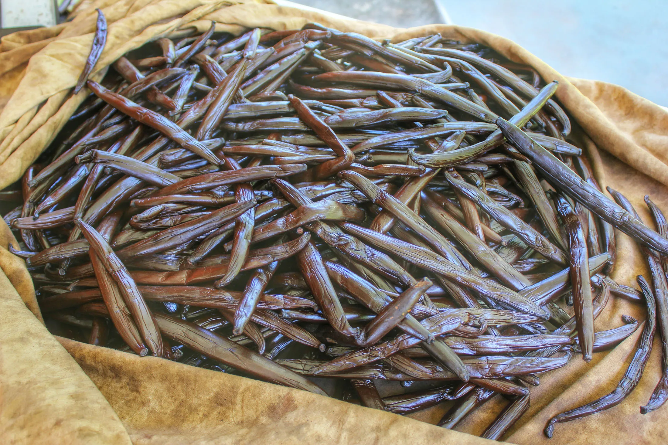 Vanilla Pods On Cloth