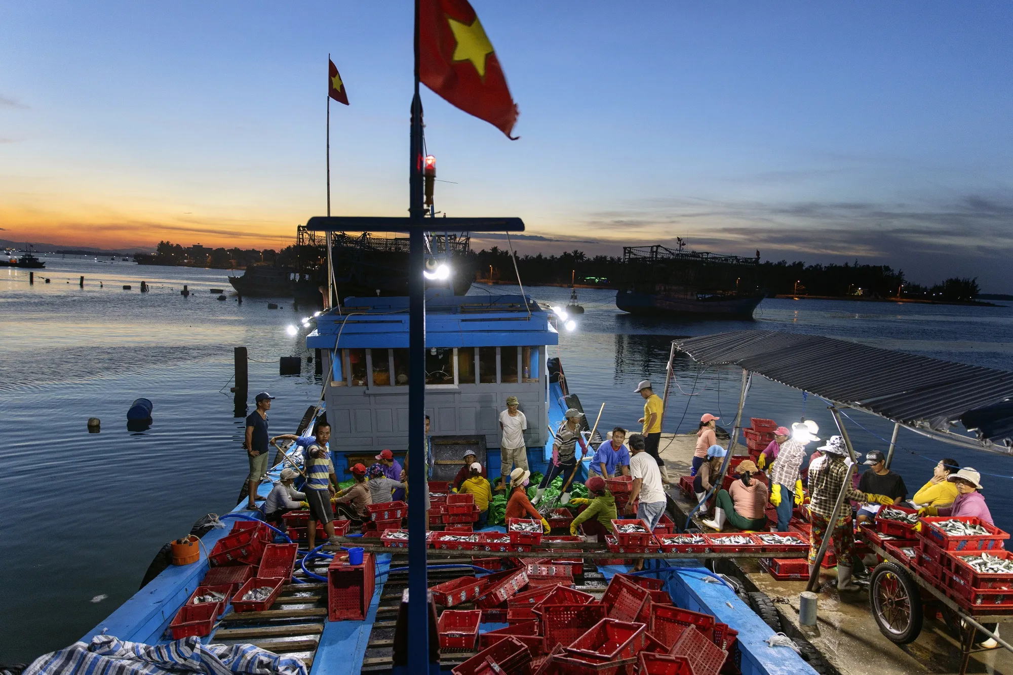 Workers sort fish on a boat in Tan Quang harbor in Quang Nam province, Vietnam.&nbsp;