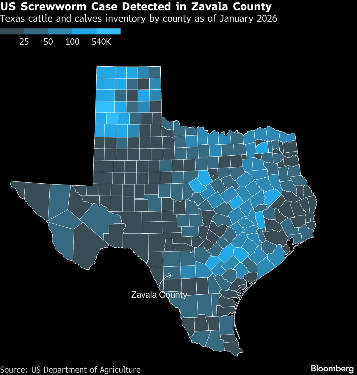 US Races to Contain Deadly Screwworm Threatening Cattle Supply