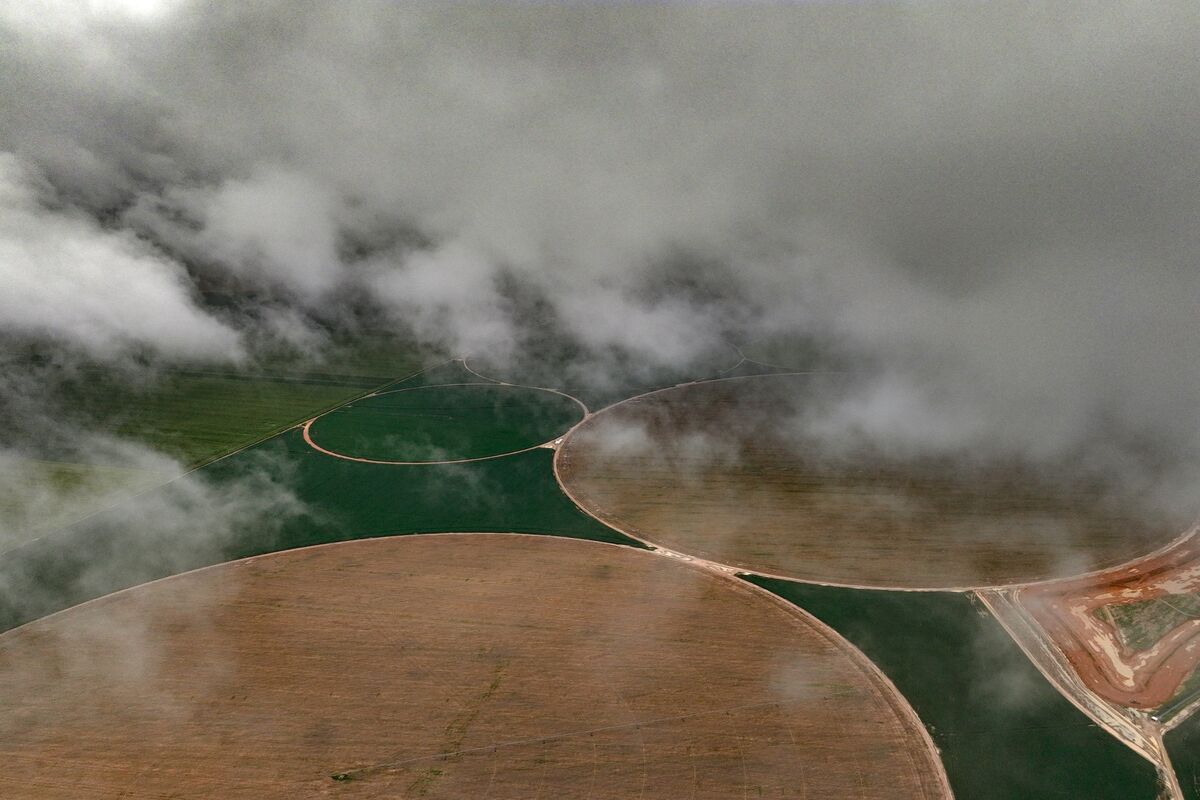 Private Equity Funds Seek Climate Experts as Risks Rise