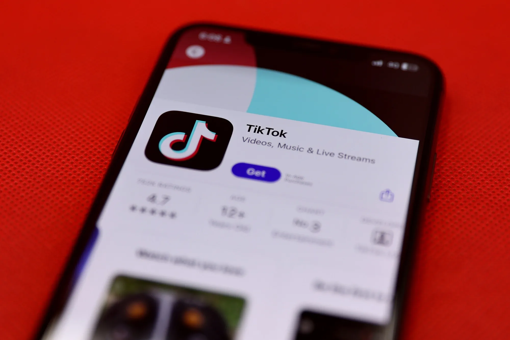 The TikTok application