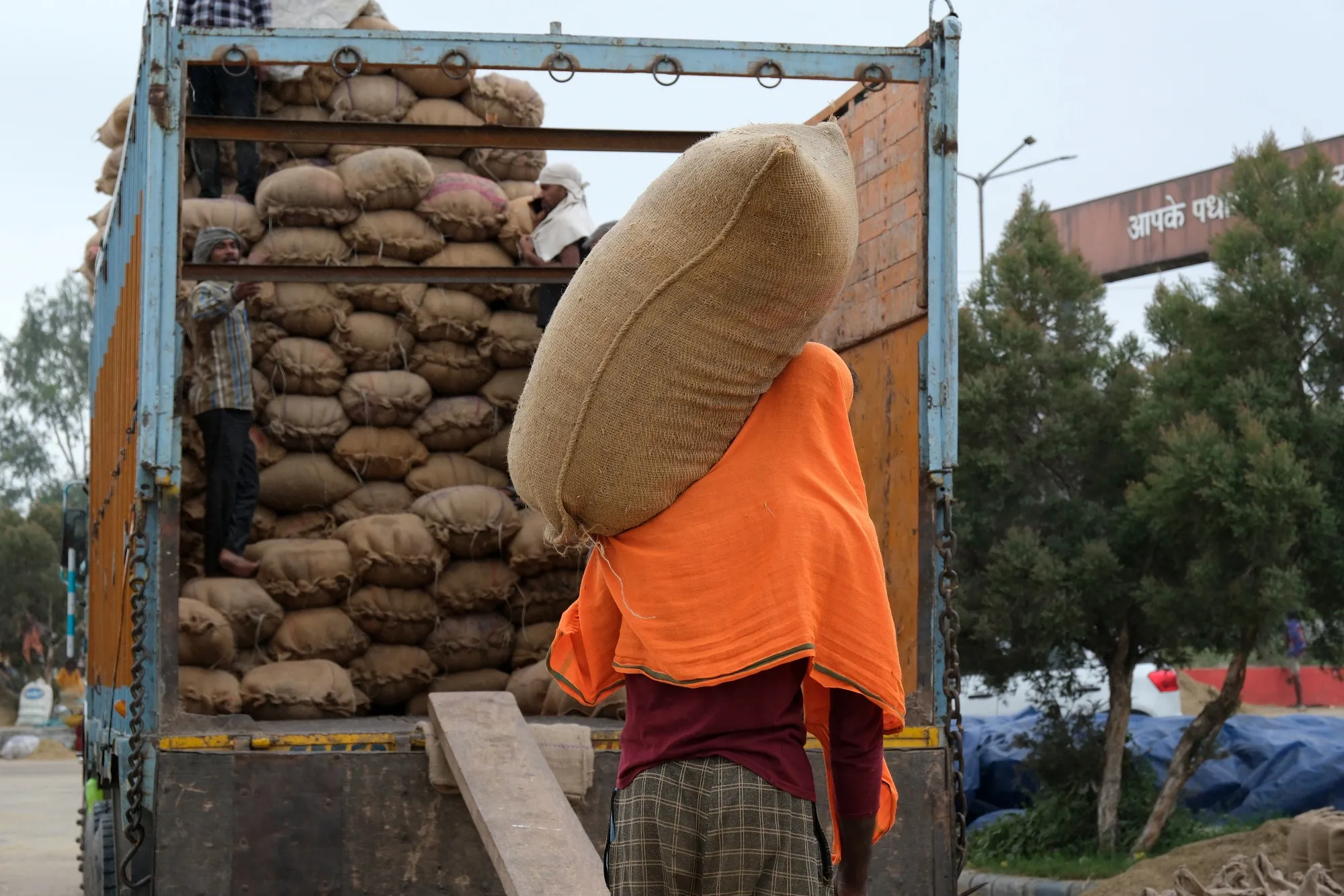 India Further Tightens Rice Shipments in Threat to Global Supply ...