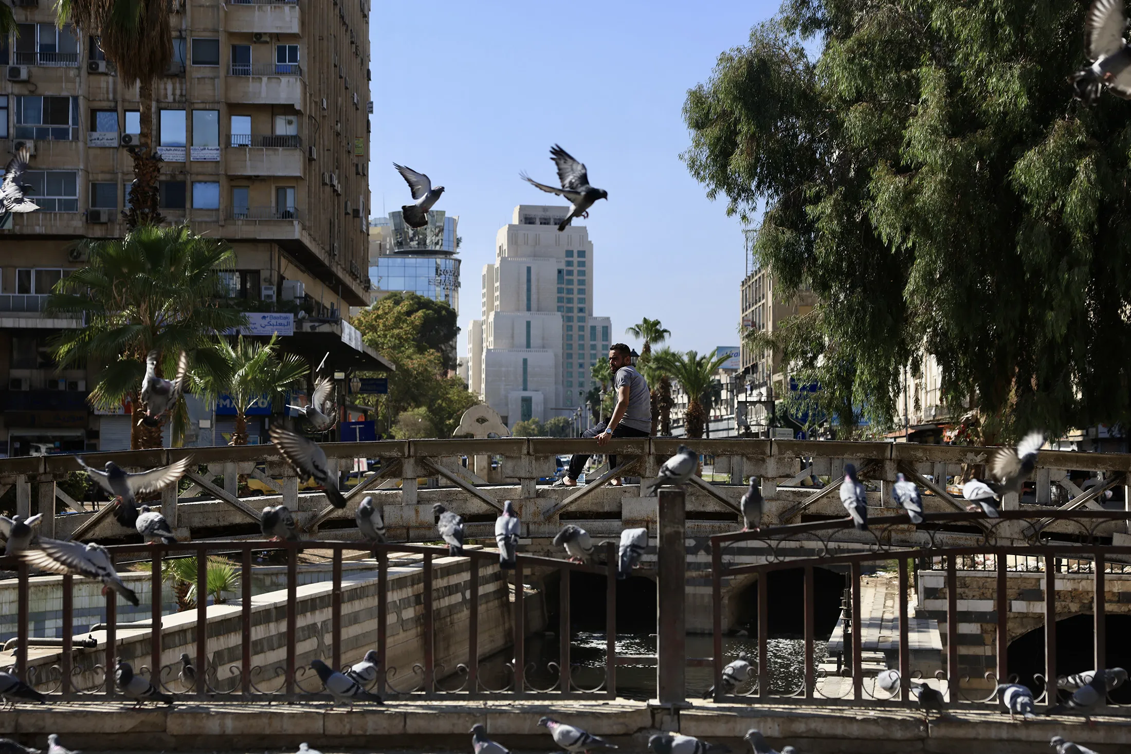 A resident sits at Merce Square, one of the main centers&nbsp;in Damascus, Syria, on Oct.&nbsp;10.