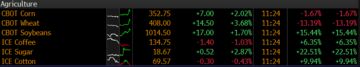 Screen Shot 2016-12-27 at 11.24.19 AM