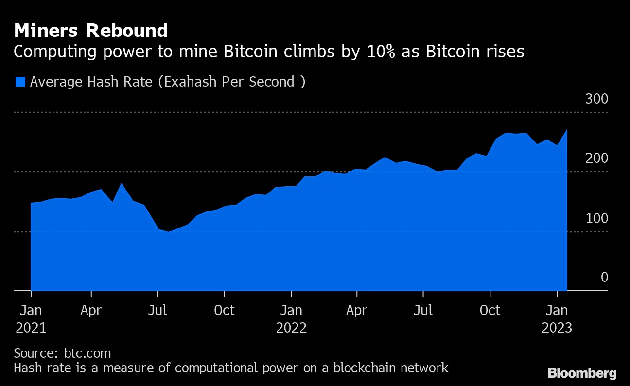 Bitcoin Miners Prepare Computers as Crypto Market Stages a Rebound -  Bloomberg