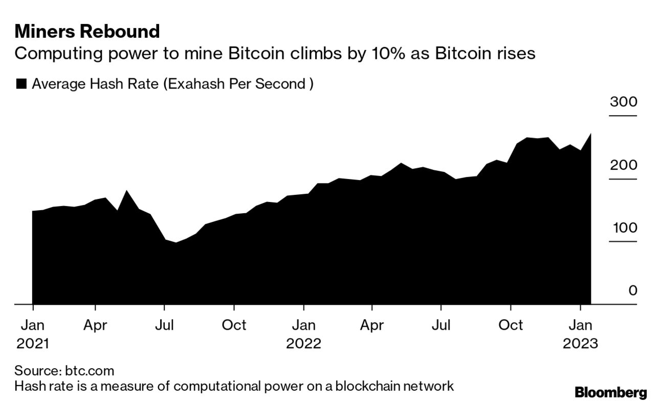 Bitcoin Miners Prepare Computers as Crypto Market Stages a Rebound -  Bloomberg