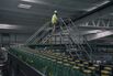 Operations At Coca Cola's $220 Million Investment Topo Chico Plant As Distribution Set To Increase 