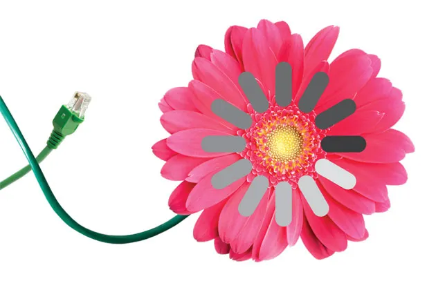 H.Bloom has brought advanced software and inventory management to the flower delivery business