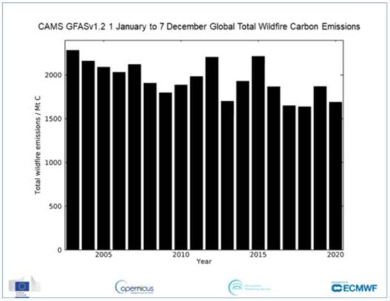 Wildfires Receding Give Globe Rare Bit of Positive Climate Data