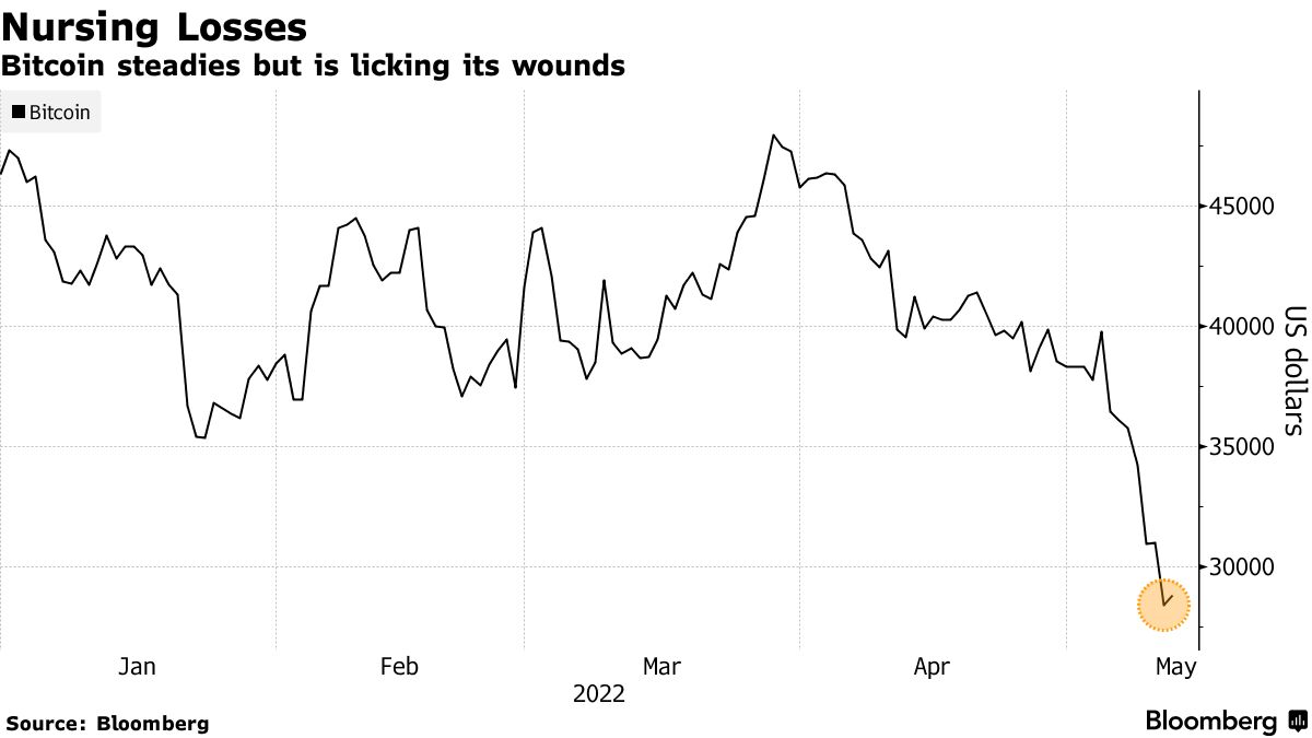 Bitcoin steadies but is licking its wounds