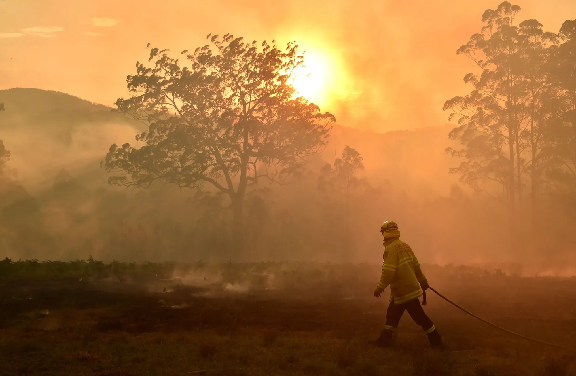 A firefighter defends a property from a bushfire at Hillville, near Taree, on Nov. 12.