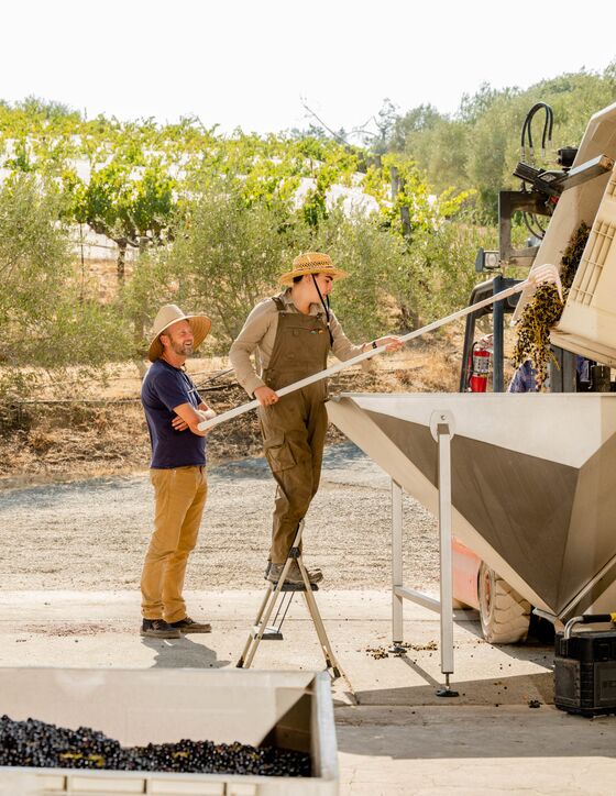 The Hectic Day in the Life of a Napa Winemaker During Harvest