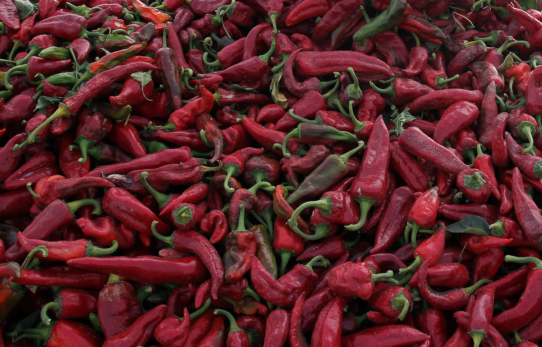 Niger Pepper Farmers Return to Crop as Terror Threat Fades - Bloomberg