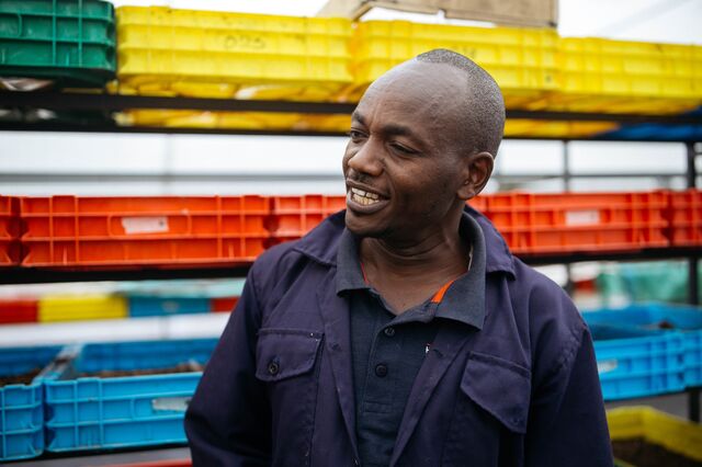 A portrait of David Kinyanjui at a Black Solider Fly farm in Makuru.