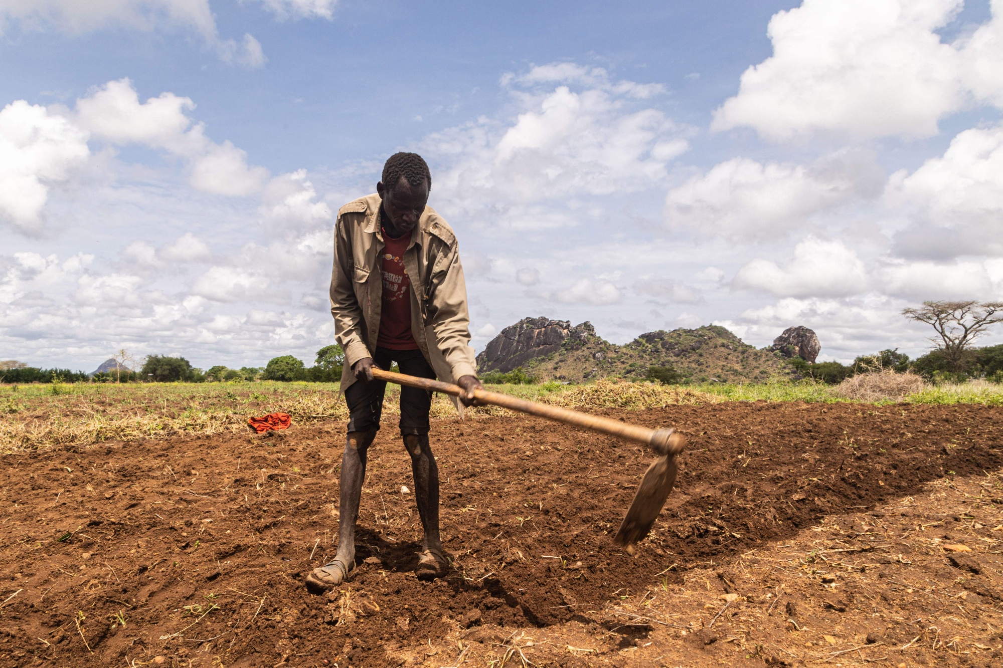 Climate-Hit Nations Have Little Time to Fix Food Supply, UN Says ...