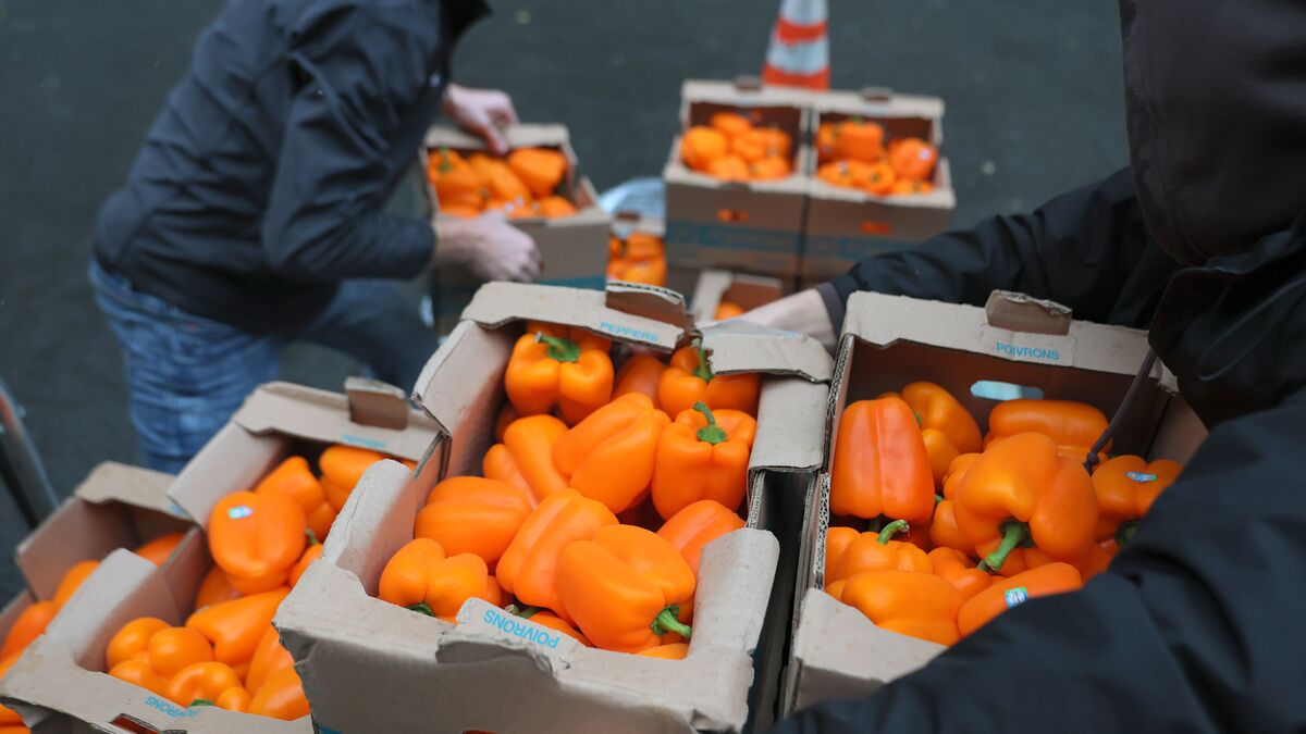 Trump Admin Food-Aid Halt Likely Unlawful, Judges Say