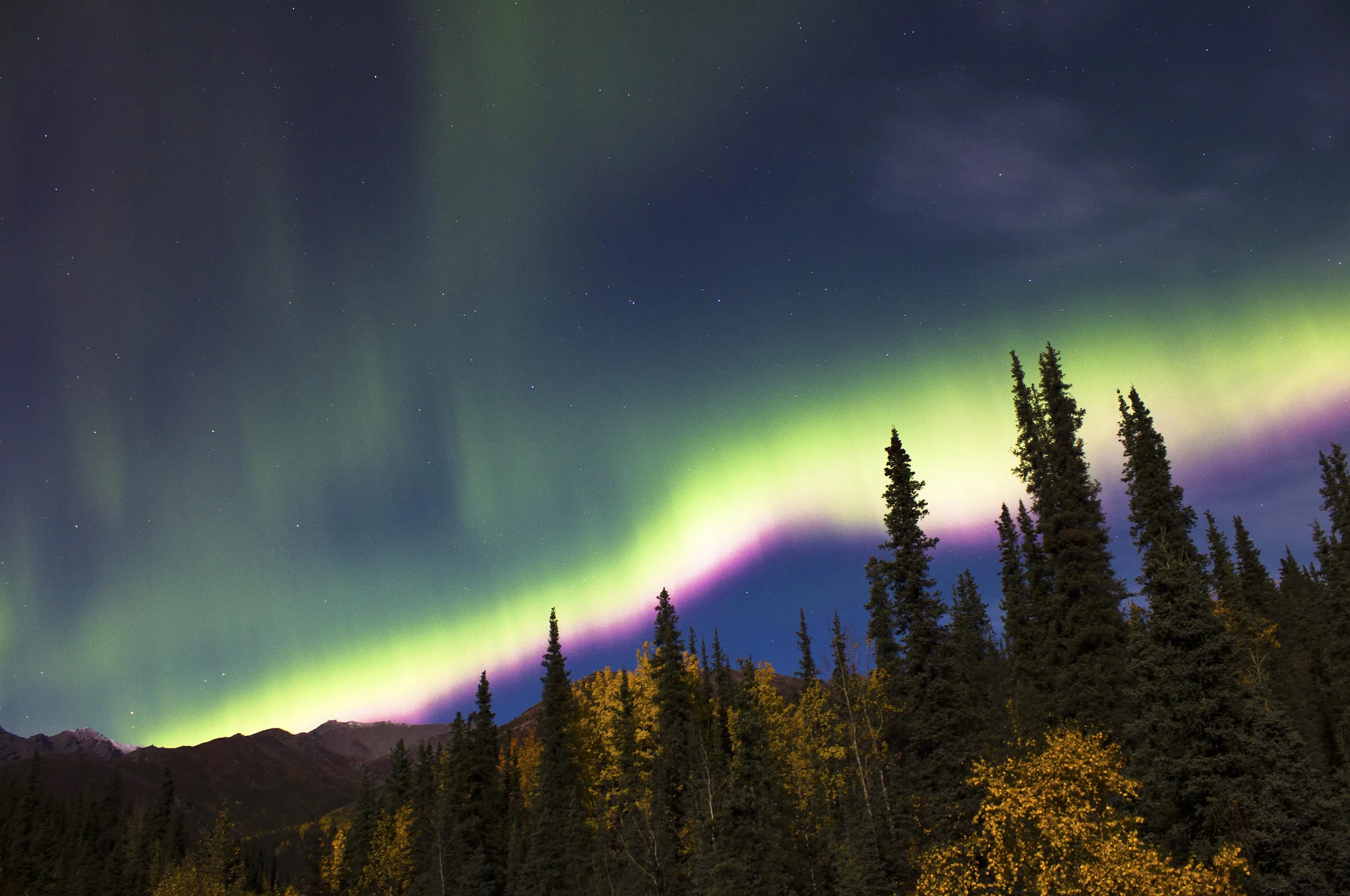 The Aurora Borealis over Denali National Park in Alaska. Photographer: Daniel A. Leifheit