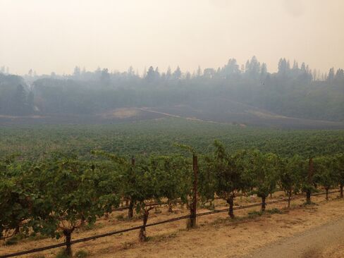 Though the Valley Fire fire charred hundreds of forest acres on Hawk and Horse Vineyards' 1,300-acre property, the 18-acre biodynamic vineyard was barely touched.
