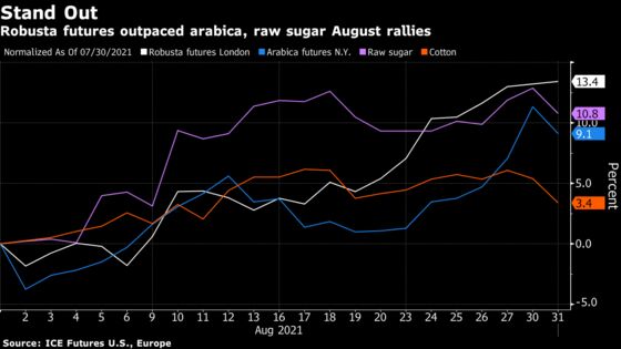 High-End Coffee Shortage Pushes Up Prices for Cheaper Varieties