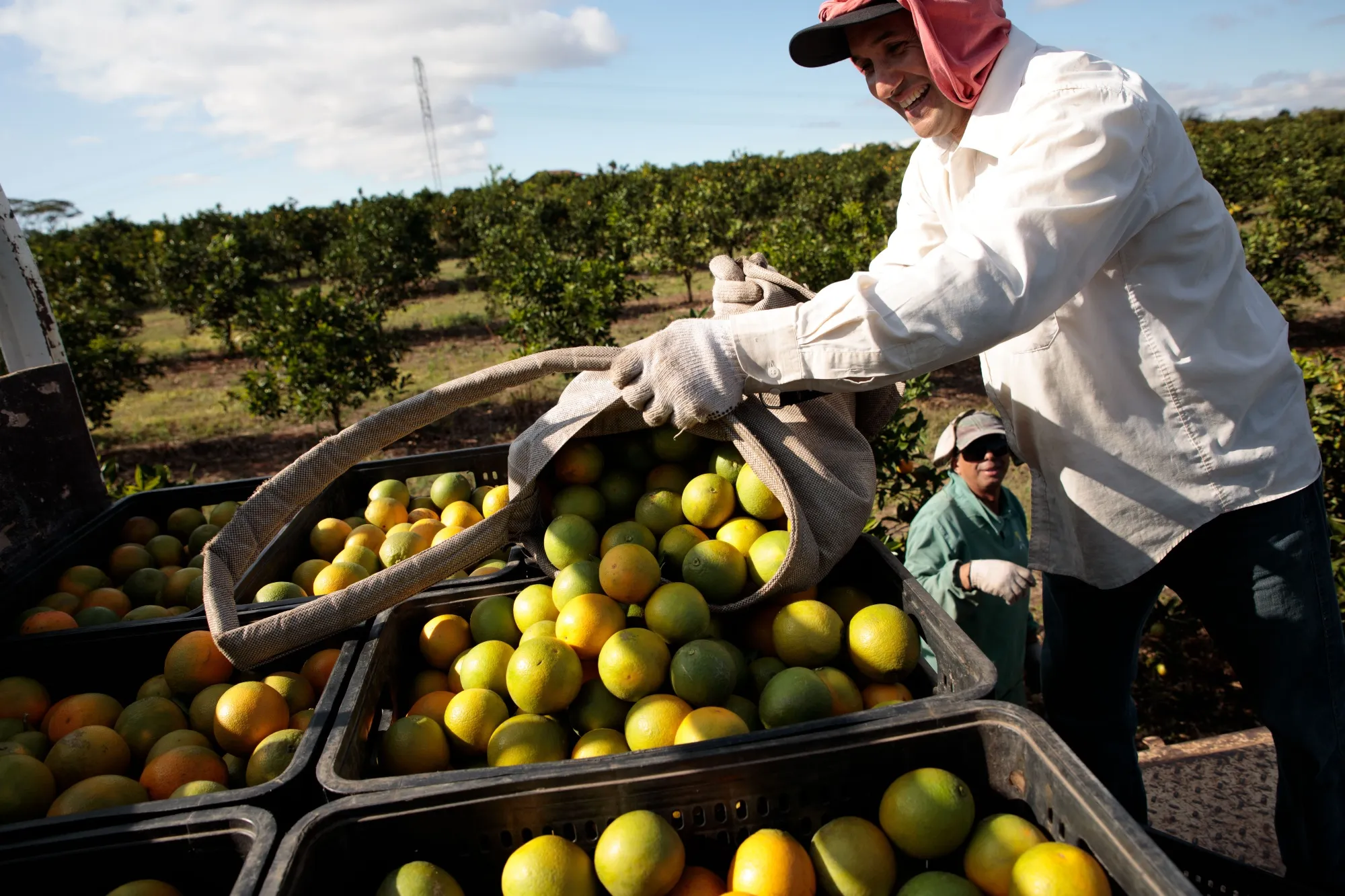 A worker loads oranges into a truck in Itupeva, Sao Paulo state, Brazil.