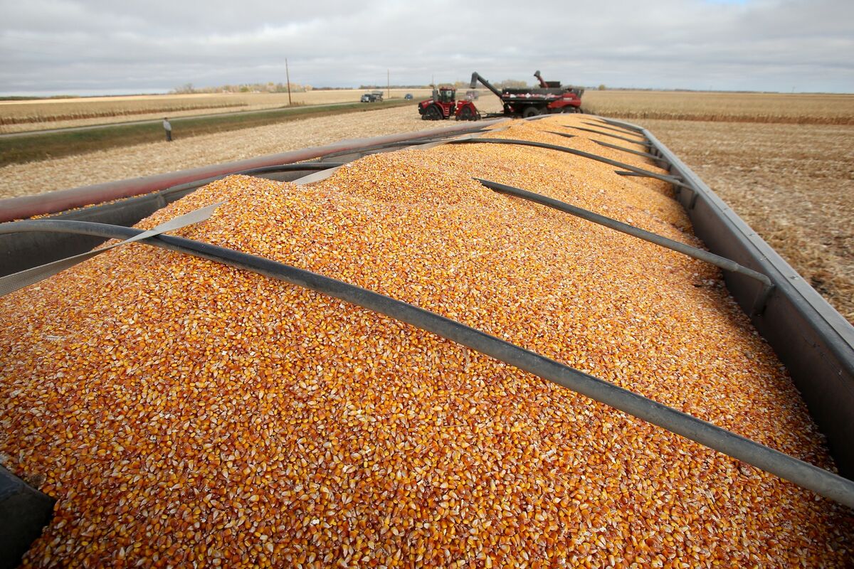 Farmers Edge Jumps 17.5 in Trading Debut After Canadian IPO Bloomberg