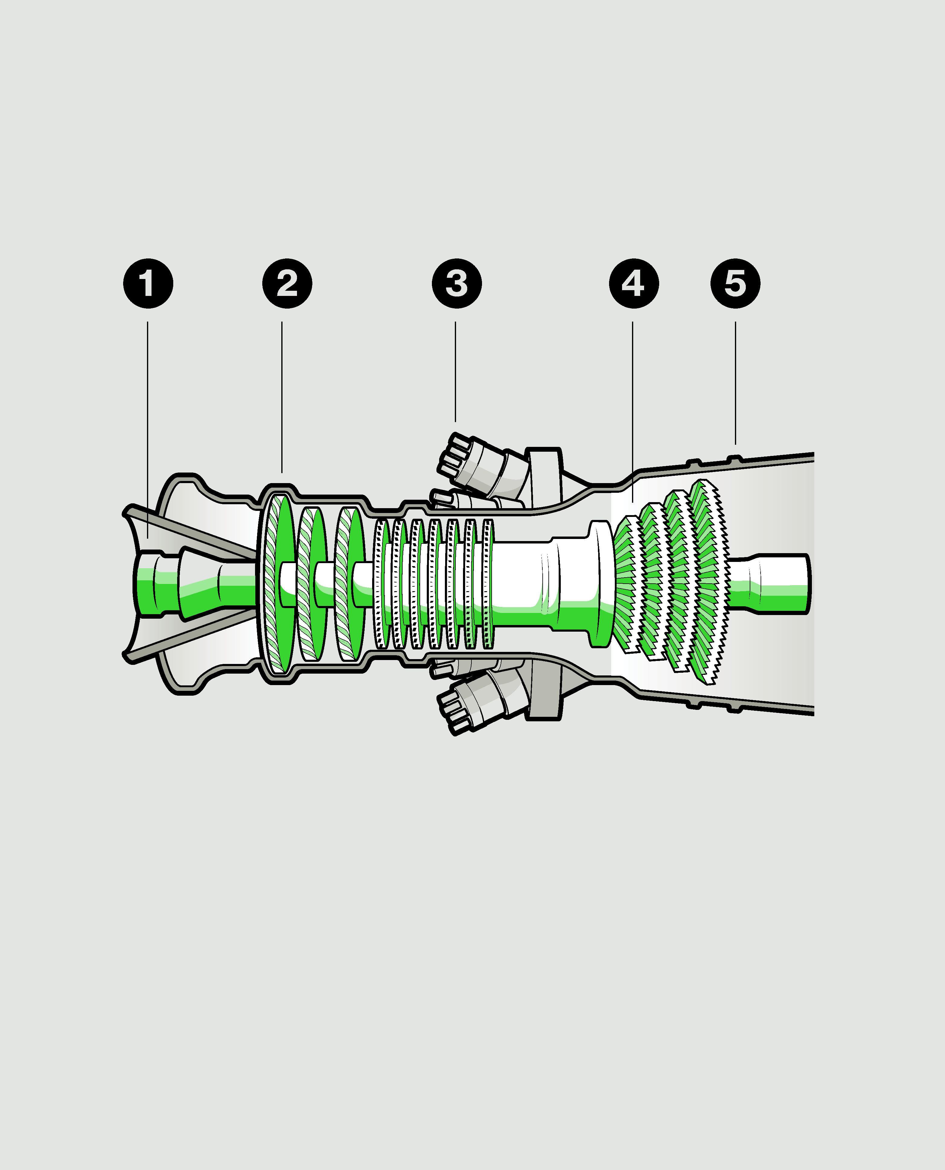 Illustration by Brown Bird Design