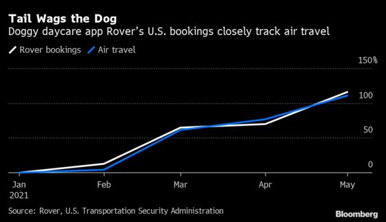 Dog-Walking App Booms as Workers Return to the Office and Travel