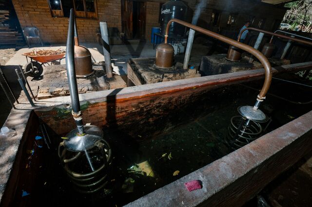 Water for Mezcal Tosba's distillery cooling tanks comes directly from a spring on the property.