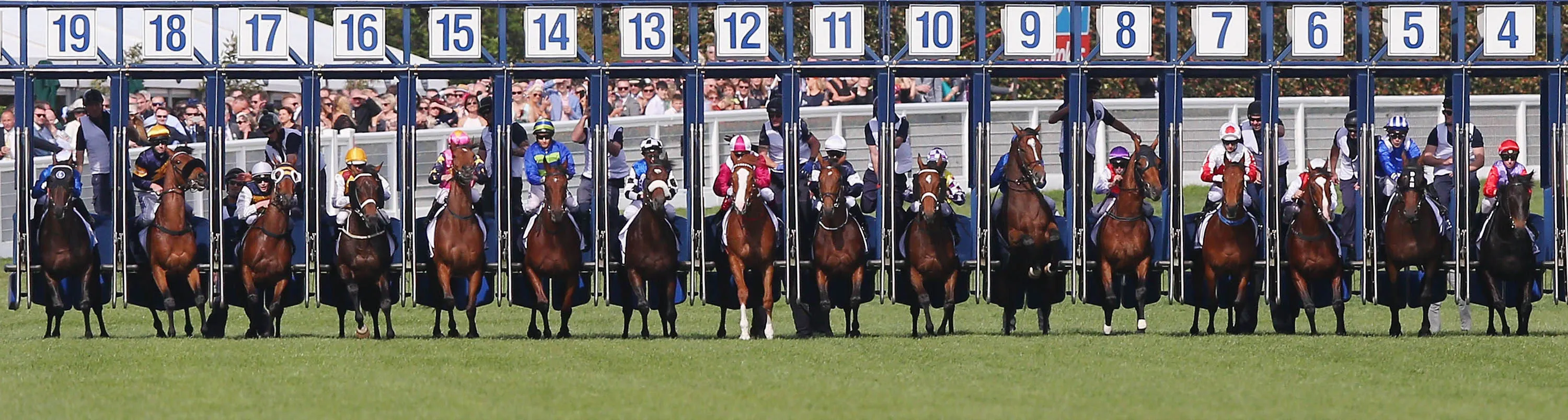1477956074_horse racing