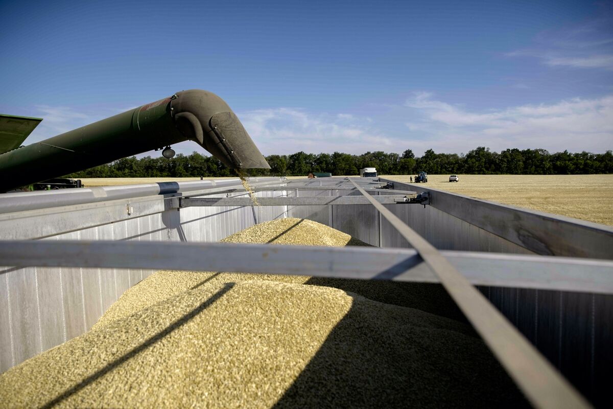 Ukraine Grain Exports to Slump After Russian Strikes on Odesa