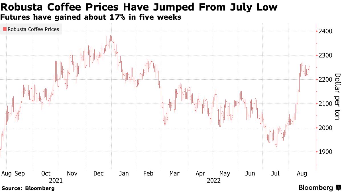 Robusta prices increase in Brazil due to dollar rise, weather in