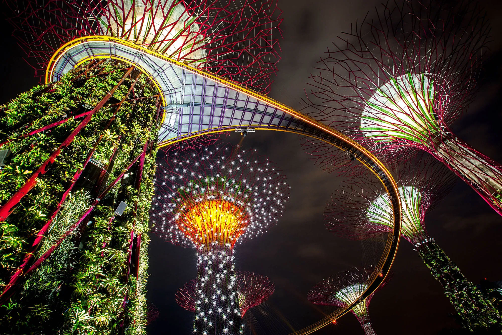 SINGAPORE - JULY 02: The Supertree Grove is illuminated during the Gardens by the Bay, Light and Sound show on July 2, 2012 in Singapore. The free nightly light and sound display which sees the massive man made Supertrees lit up with spotlights and neon lights officially opened tonight in the 54 hectare south section of the Gardens by the Bay. The Gardens by the Bay was opened on June 29 and features over 220,000 plants, the vertical gradens of the Supertrees, the Flower Dome, Cloud Forest and a Skywalk.
