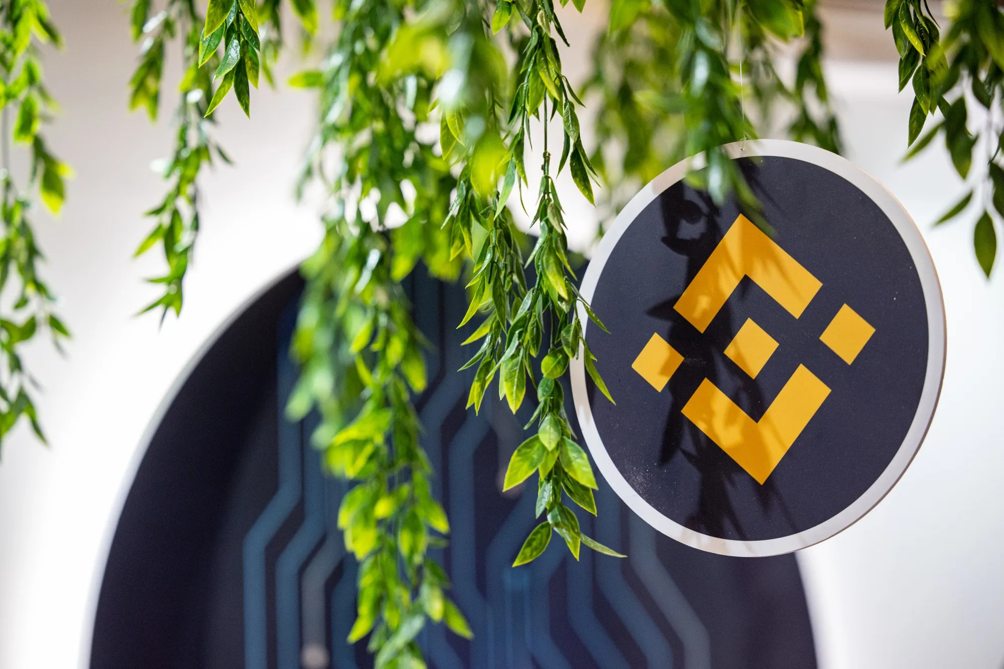 New crypto coin in binance (85) foto