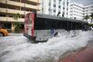 Global Warming, Full Moon, High Tide Cause Flooding In Miami Beach