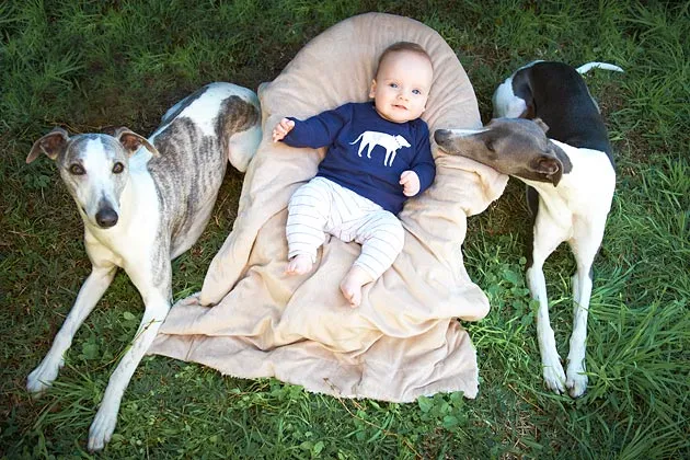 In New Housing Complex for Facebook, Dogs Get Day Care, Kids Don't