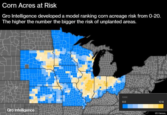 Corn That Won't Get Planted This Year Could Shatter All U.S. Records