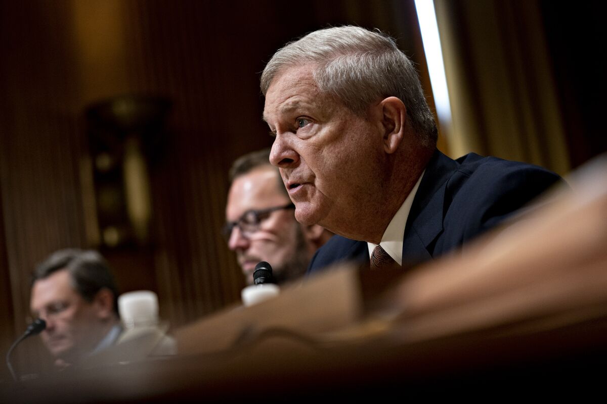 bloomberg.com - Mike Dorning - Agriculture Secretary Sees 'Early Wins' on Climate From Farms