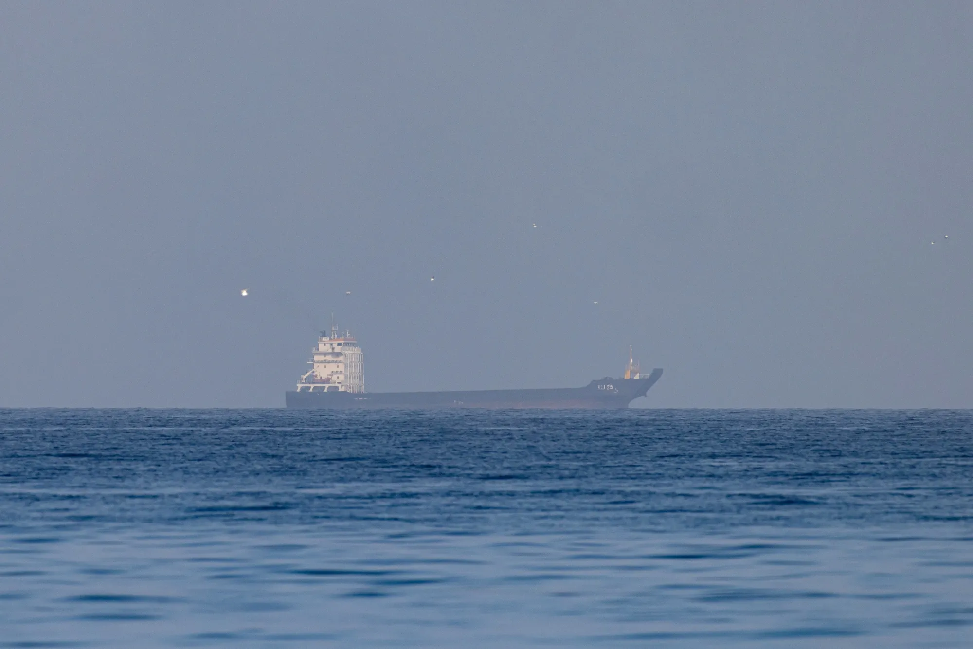 A cargo vessel near the Strait of Hormuz, on March 22.