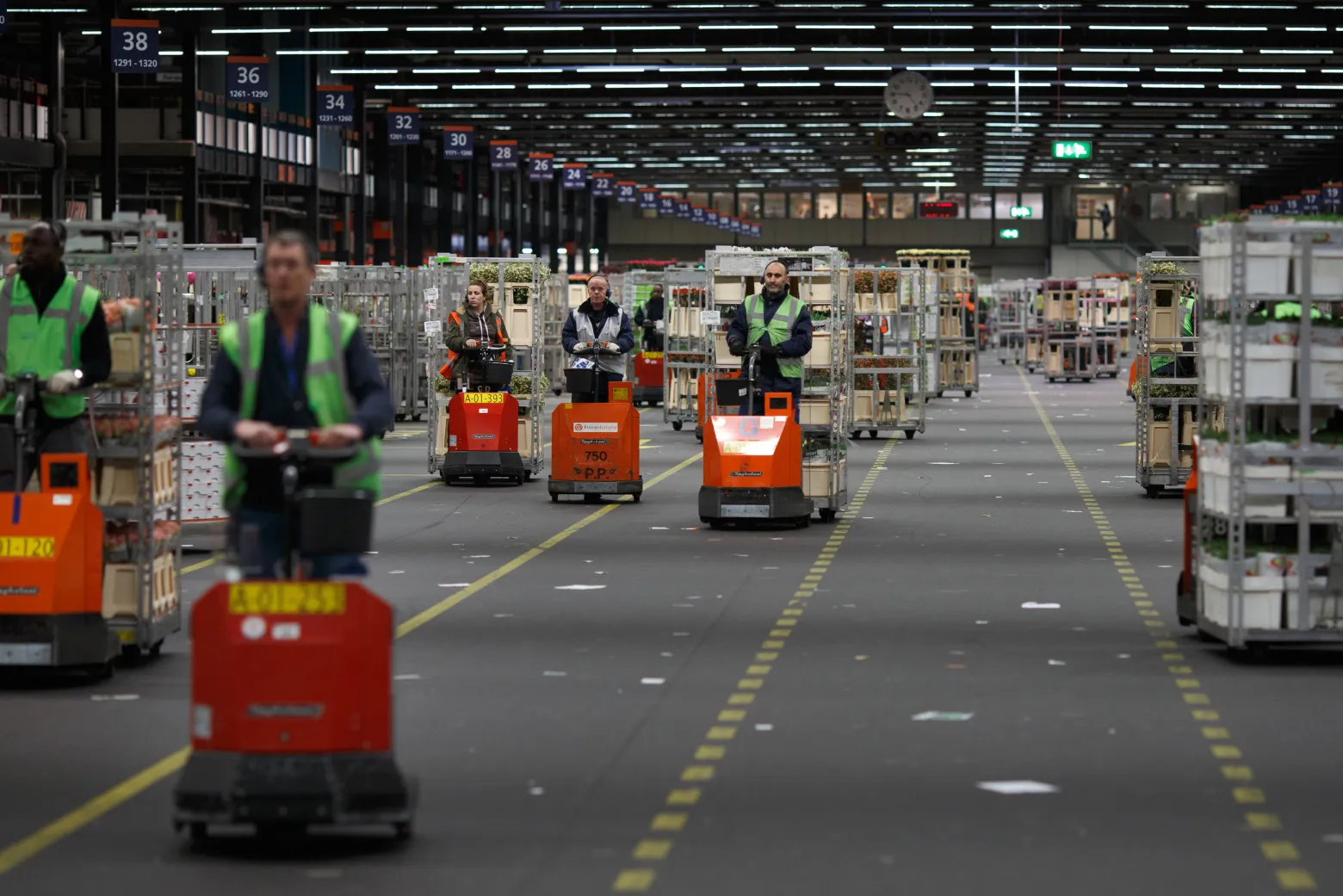 Buyers Attend FloraHolland Flower Auctions At World's Largest Trading Center For Plants