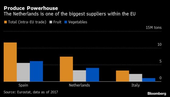 Gas Crisis Hits Food as Giant Dutch Greenhouses Go Dark