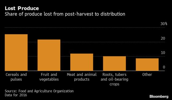 The World Loses $400 Billion of Food Before It Reaches Stores