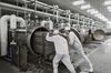 Operations At The WH Group Pork Plant