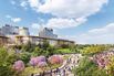 Metropolitan Park Rendering 1